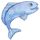 fisch_insp fisch_insp