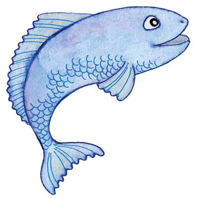 fisch_insp fisch_insp